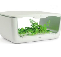 Hộp trồng cây home box Hafele 539.76.990