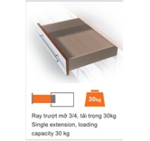 Ray âm giảm chấn mở 3/4 550mm 550F5500B