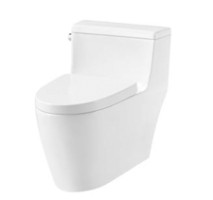 Bồn cầu một khối Iconic 588.79.401